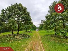  ขายที่ดิน เนื้อที่ 2 ไร่ มะขาม จันทบุรี-202510301015531761794153122.jpg