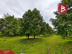  ขายที่ดิน เนื้อที่ 2 ไร่ มะขาม จันทบุรี-202510301015531761794153654.jpg