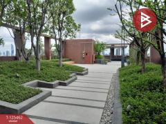 ขายคอนโดมิเนียม ลุมพินี เพลส รัชดา-สาธุ (Lumpini Place Ratchada-Sathu) ยานนาวา กรุงเทพมหานคร-202510301023331761794613478.jpg