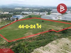 ขายที่ดิน เนื้อที่ 44 ไร่ 24 ตร.วา ศรีราชา ชลบุรี-202510301030111761795011789.jpg