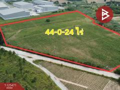 ขายที่ดิน เนื้อที่ 44 ไร่ 24 ตร.วา ศรีราชา ชลบุรี-202510301030121761795012362.jpg