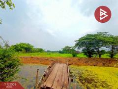 ขายที่ดินสวย เนื้อที่ 4 ไร่ 2 งาน ต.วัดสำโรง นครชัยศรี นครปฐม ทำเลดี ใกล้แม่น้ำท่าจีน