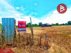 ขายที่ดินสวย เนื้อที่ 4 ไร่ 2 งาน ต.วัดสำโรง นครชัยศรี นครปฐม ทำเลดี ใกล้แม่น้ำท่าจีน-202510301041091761795669566.jpg