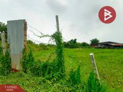 ขายที่ดินสวย เนื้อที่ 4 ไร่ 2 งาน ต.วัดสำโรง นครชัยศรี นครปฐม ทำเลดี ใกล้แม่น้ำท่าจีน-202510301041101761795670647.jpg