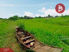 ขายที่ดินสวย เนื้อที่ 4 ไร่ 2 งาน ต.วัดสำโรง นครชัยศรี นครปฐม ทำเลดี ใกล้แม่น้ำท่าจีน-202510301041111761795671183.jpg