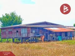 ขายที่ดินสวย เนื้อที่ 4 ไร่ 2 งาน ต.วัดสำโรง นครชัยศรี นครปฐม ทำเลดี ใกล้แม่น้ำท่าจีน-202510301041111761795671714.jpg