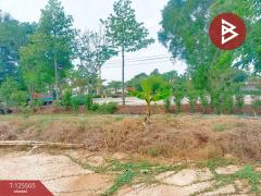 ขายที่ดินสวย เนื้อที่ 4 ไร่ 2 งาน ต.วัดสำโรง นครชัยศรี นครปฐม ทำเลดี ใกล้แม่น้ำท่าจีน-202510301041121761795672664.jpg