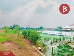 ขายที่ดินสวย เนื้อที่ 4 ไร่ 2 งาน ต.วัดสำโรง นครชัยศรี นครปฐม ทำเลดี ใกล้แม่น้ำท่าจีน-202510301041131761795673210.jpg