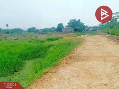 ขายที่ดินสวย เนื้อที่ 4 ไร่ 2 งาน ต.วัดสำโรง นครชัยศรี นครปฐม ทำเลดี ใกล้แม่น้ำท่าจีน-202510301041131761795673774.jpg