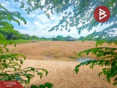 ขายที่ดินสวย เนื้อที่ 4 ไร่ 2 งาน ต.วัดสำโรง นครชัยศรี นครปฐม ทำเลดี ใกล้แม่น้ำท่าจีน-202510301041141761795674314.jpg