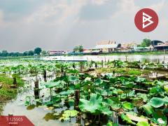 ขายที่ดินสวย เนื้อที่ 4 ไร่ 2 งาน ต.วัดสำโรง นครชัยศรี นครปฐม ทำเลดี ใกล้แม่น้ำท่าจีน-202510301041141761795674965.jpg