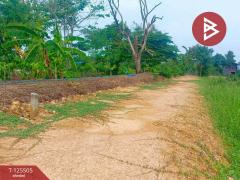 ขายที่ดินสวย เนื้อที่ 4 ไร่ 2 งาน ต.วัดสำโรง นครชัยศรี นครปฐม ทำเลดี ใกล้แม่น้ำท่าจีน-202510301041151761795675507.jpg