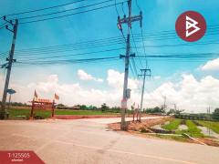 ขายที่ดินสวย เนื้อที่ 4 ไร่ 2 งาน ต.วัดสำโรง นครชัยศรี นครปฐม ทำเลดี ใกล้แม่น้ำท่าจีน-202510301041161761795676589.jpg