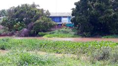 ขาย ที่ดินว่างเปล่า (ถมแล้ว) ตำบลไผ่จำศีล อำเภอวิเศษไชยชาญ จังหวัดอ่างทอง