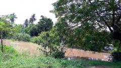 ขาย ที่ดินว่างเปล่า (ถมแล้ว) ตำบลไผ่จำศีล อำเภอวิเศษไชยชาญ จังหวัดอ่างทอง-202510301113311761797611031.jpg