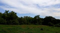 ขาย ที่ดินว่างเปล่า (ถมแล้ว) ตำบลไผ่จำศีล อำเภอวิเศษไชยชาญ จังหวัดอ่างทอง-202510301113321761797612813.jpg