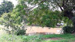 ขาย ที่ดินว่างเปล่า (ถมแล้ว) ตำบลไผ่จำศีล อำเภอวิเศษไชยชาญ จังหวัดอ่างทอง-202510301113331761797613387.jpg