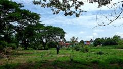 ขาย ที่ดินว่างเปล่า (ถมแล้ว) ตำบลไผ่จำศีล อำเภอวิเศษไชยชาญ จังหวัดอ่างทอง-202510301113331761797613974.jpg