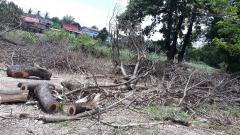 ขาย ที่ดินว่างเปล่า (ถมแล้ว) ตำบลไผ่จำศีล อำเภอวิเศษไชยชาญ จังหวัดอ่างทอง-202510301113351761797615225.jpg