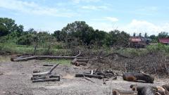 ขาย ที่ดินว่างเปล่า (ถมแล้ว) ตำบลไผ่จำศีล อำเภอวิเศษไชยชาญ จังหวัดอ่างทอง-202510301113351761797615844.jpg