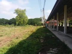 ขาย ที่ดินว่างเปล่า (ถมแล้ว) ตำบลไผ่จำศีล อำเภอวิเศษไชยชาญ จังหวัดอ่างทอง-202510301113371761797617748.jpg