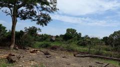 ขาย ที่ดินว่างเปล่า (ถมแล้ว) ตำบลไผ่จำศีล อำเภอวิเศษไชยชาญ จังหวัดอ่างทอง-202510301113381761797618317.jpg