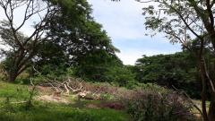 ขาย ที่ดินว่างเปล่า (ถมแล้ว) ตำบลไผ่จำศีล อำเภอวิเศษไชยชาญ จังหวัดอ่างทอง-202510301113381761797618871.jpg