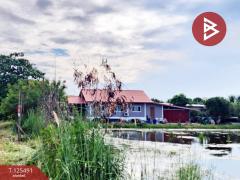 ขายที่ดิน 2 แปลง เนื้อที่ 13 ไร่ 1 งาน 38 ตารางวา ไทรน้อย นนทบุรี-202510301118441761797924311.jpg