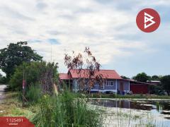 ขายที่ดิน 2 แปลง เนื้อที่ 13 ไร่ 1 งาน 38 ตารางวา ไทรน้อย นนทบุรี-202510301118441761797924839.jpg