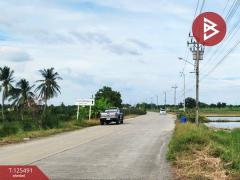 ขายที่ดิน 2 แปลง เนื้อที่ 13 ไร่ 1 งาน 38 ตารางวา ไทรน้อย นนทบุรี-202510301118451761797925371.jpg