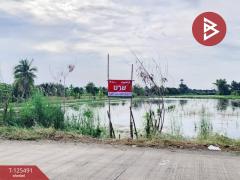 ขายที่ดิน 2 แปลง เนื้อที่ 13 ไร่ 1 งาน 38 ตารางวา ไทรน้อย นนทบุรี-202510301118451761797925907.jpg