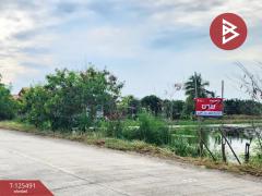 ขายที่ดิน 2 แปลง เนื้อที่ 13 ไร่ 1 งาน 38 ตารางวา ไทรน้อย นนทบุรี-202510301118461761797926747.jpg