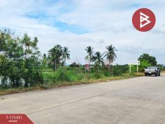 ขายที่ดิน 2 แปลง เนื้อที่ 13 ไร่ 1 งาน 38 ตารางวา ไทรน้อย นนทบุรี-202510301118471761797927280.jpg