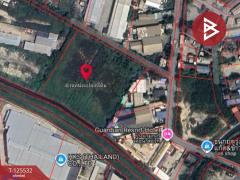 ขายที่ดิน เนื้อที่ 5 ไร่ 3 งาน 62.8 ตารางวา แพรกษาใหม่ สมุทรปราการ-202510301134361761798876748.jpg