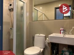 ขาย/เช่าคอนโด เอลลิโอ เดล เนสท์ บางนา กรุงเทพมหานคร-202510301239091761802749480.jpg