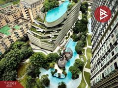 ขาย/เช่าคอนโด เอลลิโอ เดล เนสท์ บางนา กรุงเทพมหานคร-202510301239101761802750540.jpg