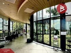 ขาย/เช่าคอนโด เอลลิโอ เดล เนสท์ บางนา กรุงเทพมหานคร-202510301239111761802751973.jpg