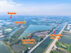 ขายที่สีม่วง 46 ไร่ ใกล้ถนนเลียบมอเตอร์เวย์ สาย 7 ใกล้นิคมอมตะ ชลบุรี  ต.บางนาง อ.พานทอง จ.ชลบุรี-202510301241401761802900848.jpg