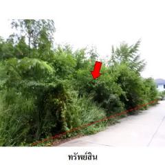 ขายที่ดินว่างเปล่าโครงการ สวนวลีแลนด์ 4 ถ.สายบางละมุง-ระยอง ทับมา เมืองระยอง ระยอง