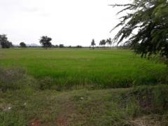 ขายที่ดินทำเลทองติดถนนเพชรเกษม วังมะนาว จ.ราชบุรี 26-1-49ไร่