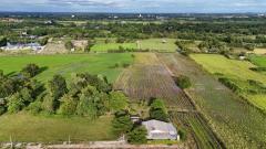 ขายที่ดินเปล่า ผังสีม่วงเข้ม พื้นที่อุตสาหกรรม อำเภอพนัสนิคม จังหวัดชลบุรี-202510301454101761810850001.jpg