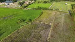 ขายที่ดินเปล่า ผังสีม่วงเข้ม พื้นที่อุตสาหกรรม อำเภอพนัสนิคม จังหวัดชลบุรี-202510301454121761810852049.jpg