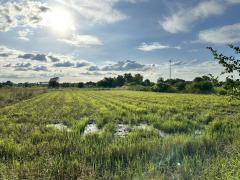 ขายที่ดินเปล่า ผังสีม่วงเข้ม พื้นที่อุตสาหกรรม อำเภอพนัสนิคม จังหวัดชลบุรี-202510301454131761810853014.jpg