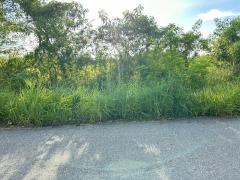 ขายที่ดินเปล่า ผังสีม่วงเข้ม พื้นที่อุตสาหกรรม อำเภอพนัสนิคม จังหวัดชลบุรี-202510301454141761810854749.jpg