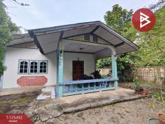 ขายบ้านเดี่ยวชั้นเดียว เนื้อที่ 200 ตารางวา บ้านโป่ง ราชบุรี ติดถนนสวนกล้วย-202510301517111761812231258.jpg