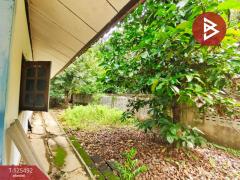 ขายบ้านเดี่ยวชั้นเดียว เนื้อที่ 200 ตารางวา บ้านโป่ง ราชบุรี ติดถนนสวนกล้วย-202510301517121761812232440.jpg