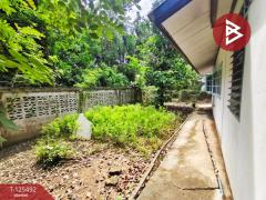 ขายบ้านเดี่ยวชั้นเดียว เนื้อที่ 200 ตารางวา บ้านโป่ง ราชบุรี ติดถนนสวนกล้วย-202510301517151761812235628.jpg