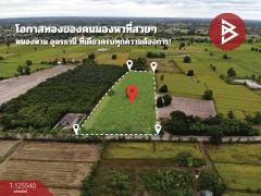 ขายที่ดิน เนื้อที่ 10 ไร่ หนองหาน อุดรธานี