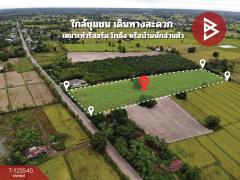 ขายที่ดิน เนื้อที่ 10 ไร่ หนองหาน อุดรธานี-202510301529501761812990656.jpg