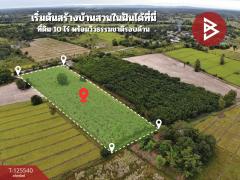 ขายที่ดิน เนื้อที่ 10 ไร่ หนองหาน อุดรธานี-202510301529511761812991763.jpg